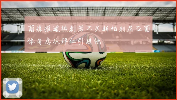 葡媒报道热刺若不买断帕利尼亚葡体考虑从拜仁引进他