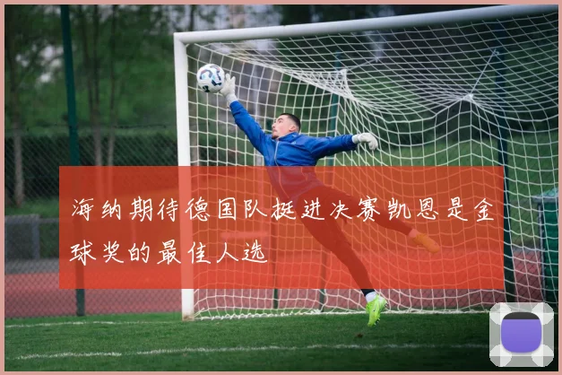 海纳期待德国队挺进决赛凯恩是金球奖的最佳人选